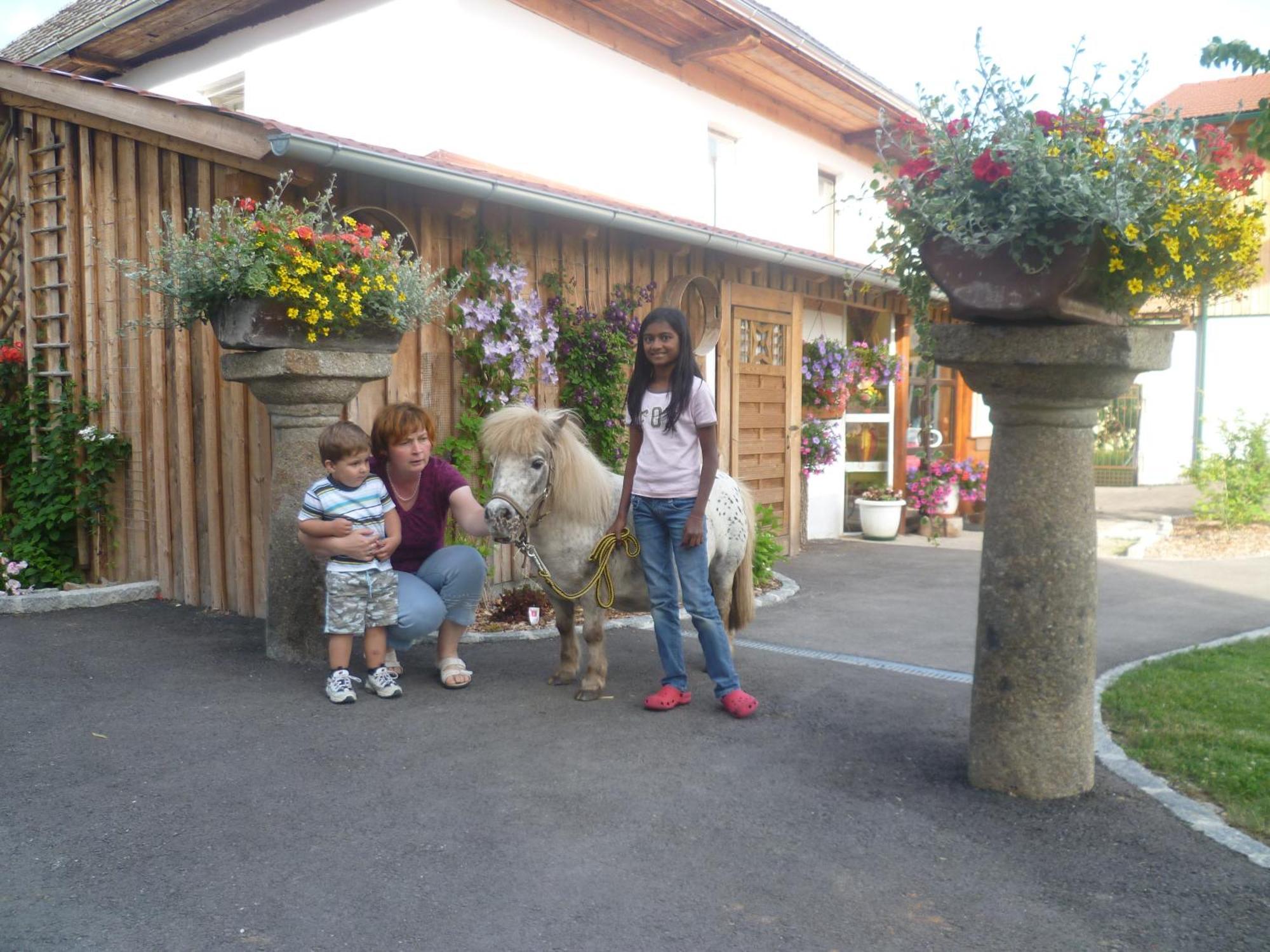 Obermayrgut Gallspach Exterior foto